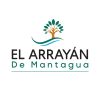 el arrayan